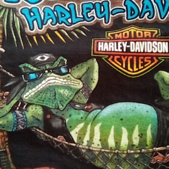 Harley Davidson skull jester tee NWOT  UNISEX - Picture 6 of 9